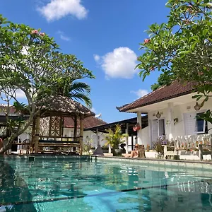 buffalo-surfcamp.hotelsseminyak.net/